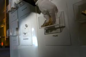 蒙古队Mongolz在CS夺冠 选择Vitality、天禄和Spirit当底座