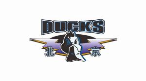 媒体人：北京队第3外援的选择更倾向于二三号位