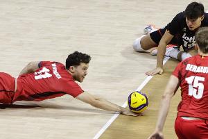 比利时男排3-0战胜芬兰，时隔55年再进男排世锦赛八强