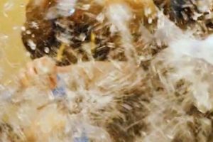 成功拿下总冠军后，大家在更衣室用一场特别的狂欢庆祝荣耀时刻！