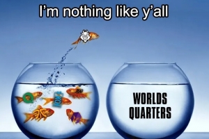 MKOI被淘汰后G2发文：唯一一支突围瑞士轮的西方队伍