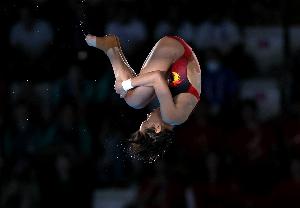 冲金！全运会跳水项目明天展开争夺，全红婵可能迎全运会首秀