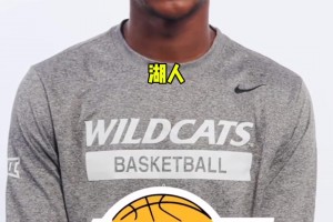 布莱斯快问快答 是亲儿子没错了