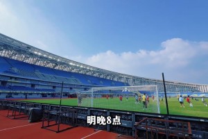 申花赛前：路易斯已具备登场条件，申花力争客场三分!